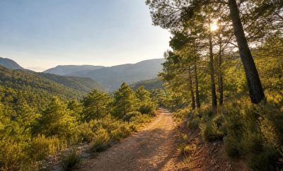 Escapada rural en Benafer con rutas y descanso